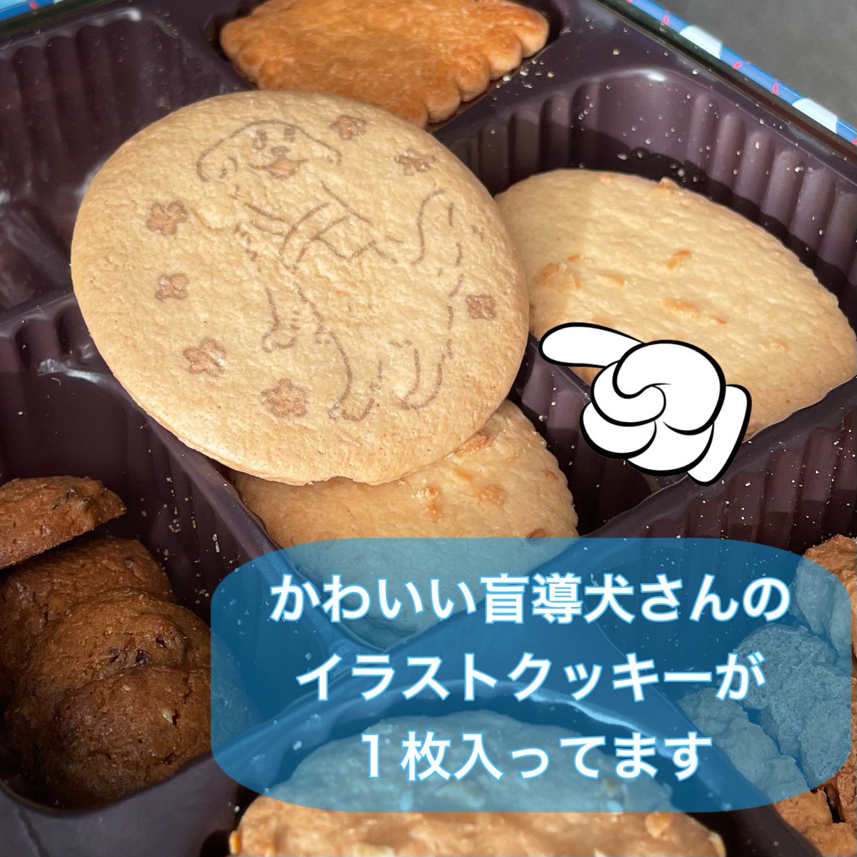 macha_daichi's tweet photo. 【盲導犬応援】
日本初クッキーを販売した
創業９６年の名店
「泉屋」さんのクッキー（人間用）
が、新デザインで発売されました‼️￼

デザインは
アーティスト・セツサチアキさん。

かわいい＆美味しいクッキーで
人間のために頑張っている
盲導犬さんの応援を🙇‍♂️

→ https://t.co/RUXtJ0fmfc https://t.co/FcFreQjEhu
