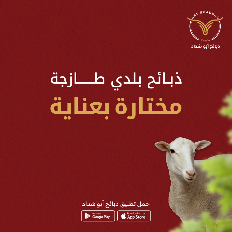 aboshadddad's tweet photo. #ذبائح بلدي طازجة 
مختارة بعناية ❤️

- ذبح فوري حسب الطلب 🔪
- تقطيع وتغليف احترافي 🥩
- توصيل مبرد وسريع 🚚

أجود أنواع اللحوم الطازجة تصلك إلى باب بيتك مجاناً 🚚✨

 أبو شداد .. طازج دائمًا 🐑

#جدة #جدة_الان #حي_السامر #السامر #ذبائح #طازج #لحوم  #ترند #ذبائح #الحمدانية