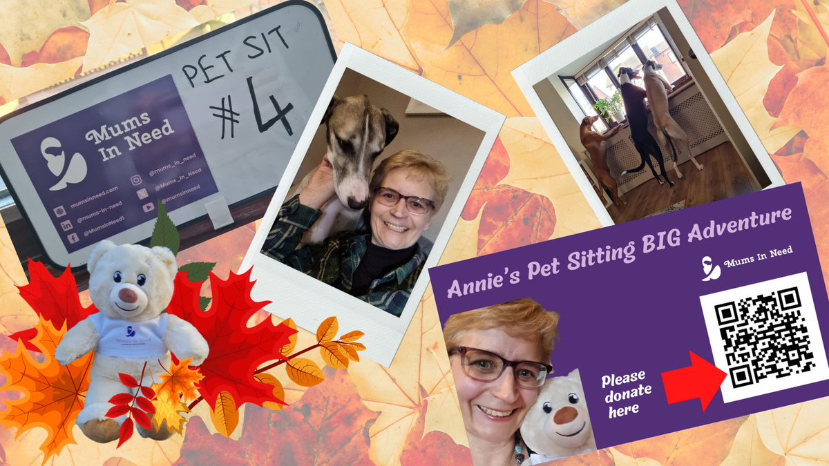 Announcing Pet Sit #4 in Annie's Pet Sitting BIG Adventure. 

Autumn has arrived - I went for the 'autumn leaf look' this time! More to come about what we got up to. Keep your 👀 peeled!

Please #donate 👉 givey.com/anniespetsitti…

@GiveyHQ <a href="/Mums_In_Need/">Mums In Need</a> 
#2024in2024 #MINnieMascot