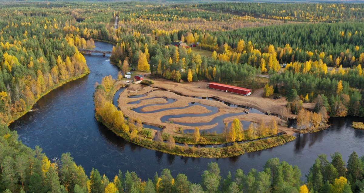 Hehkutetaan vielä vähän, kun on niin kiva levittää hyviä uutisia!
Kalankasvatuslaitos muutettiin lohikalojen kutupuroiksi Pellon Naamijoella.
Lisää tällaista aloitteellisuutta ja toimintaa!
Onnittelut paikallisille tekijöille!!
&gt; yle.fi/a/74-20056052 
&gt; areena.yle.fi/podcastit/1-66…