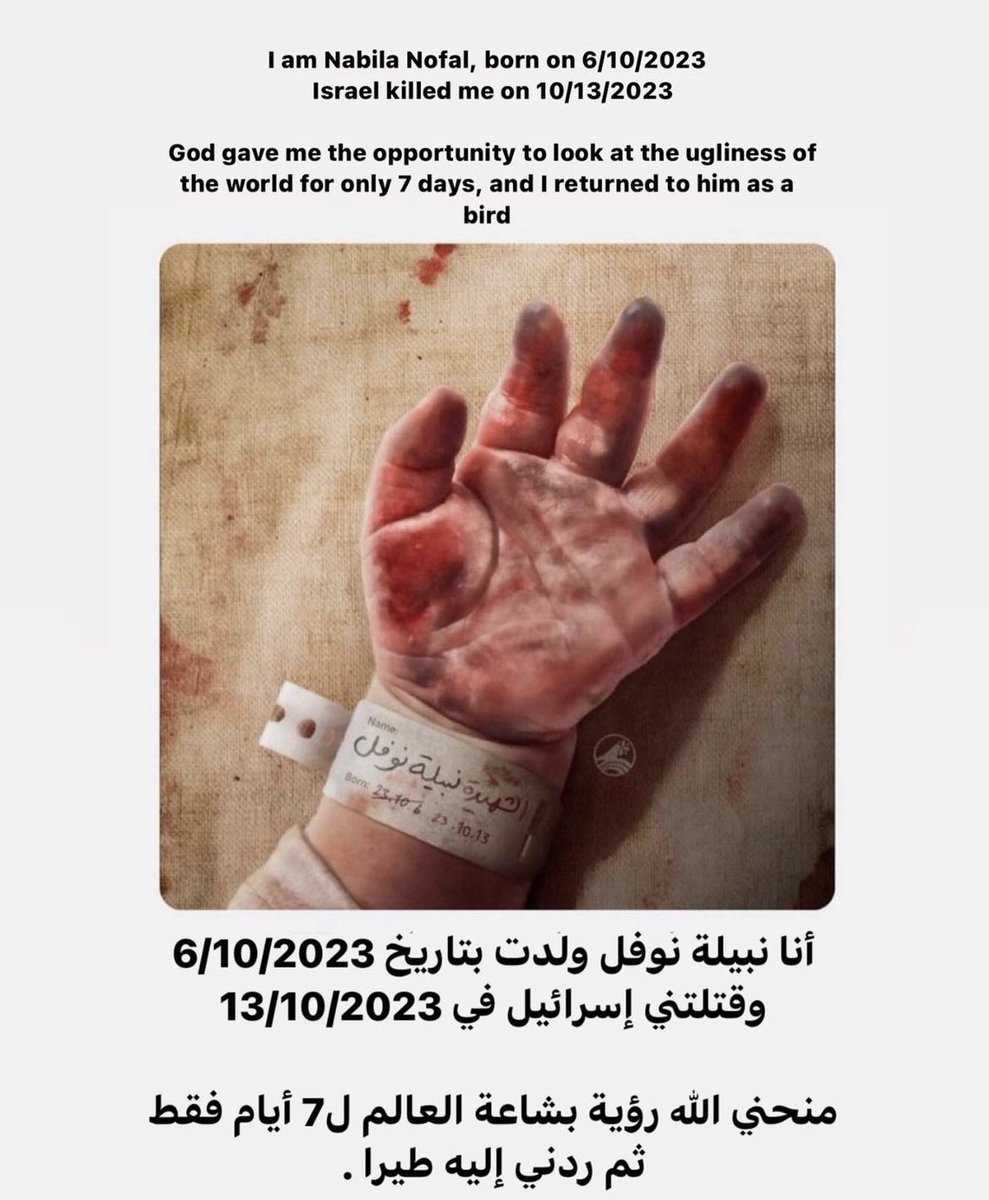 Eunoia_i's tweet photo. #Gaza_Genocide 
#Israel_under_attack 
#Israel 
#Gaza 
#غزه_الآن https://t.co/HOyj1eUHiC