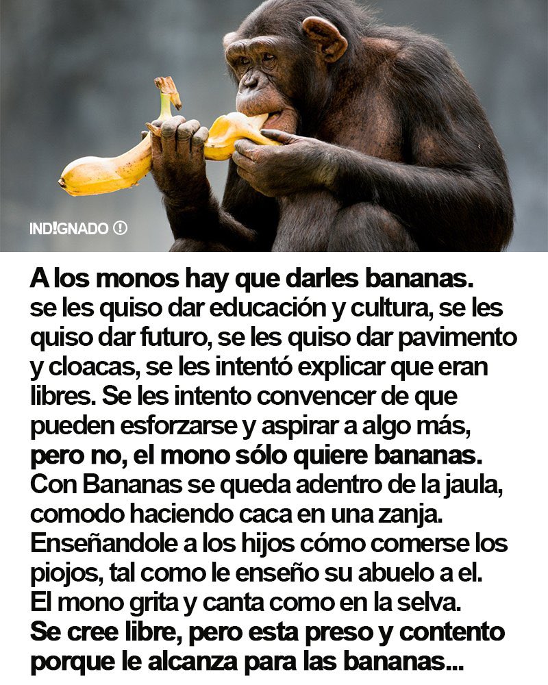 INDIGNADO (@indignadoxd) on Twitter photo 