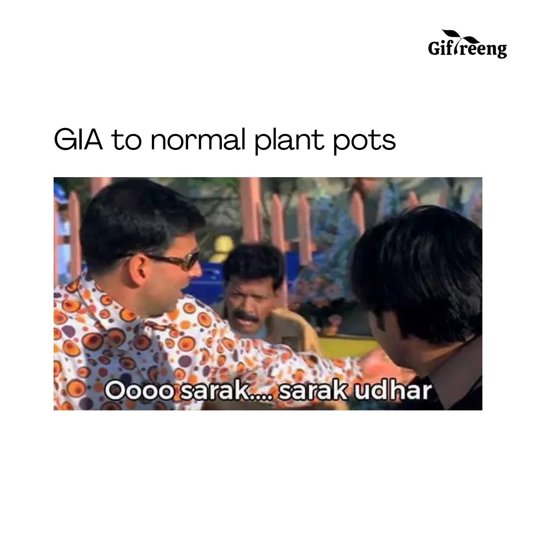 ✨🌱
. 
. 
. 
. 
. 
#GIAPlantCare #Giftreeng #PlantCare#plantreels #plantparent #plant #plantsofinstagram #plantas #plantbaseddiet #houseplants #plantpower #plantsmakepeoplehappy #plantlife #indoorplants #plantpowered #plantstrong #plantlover