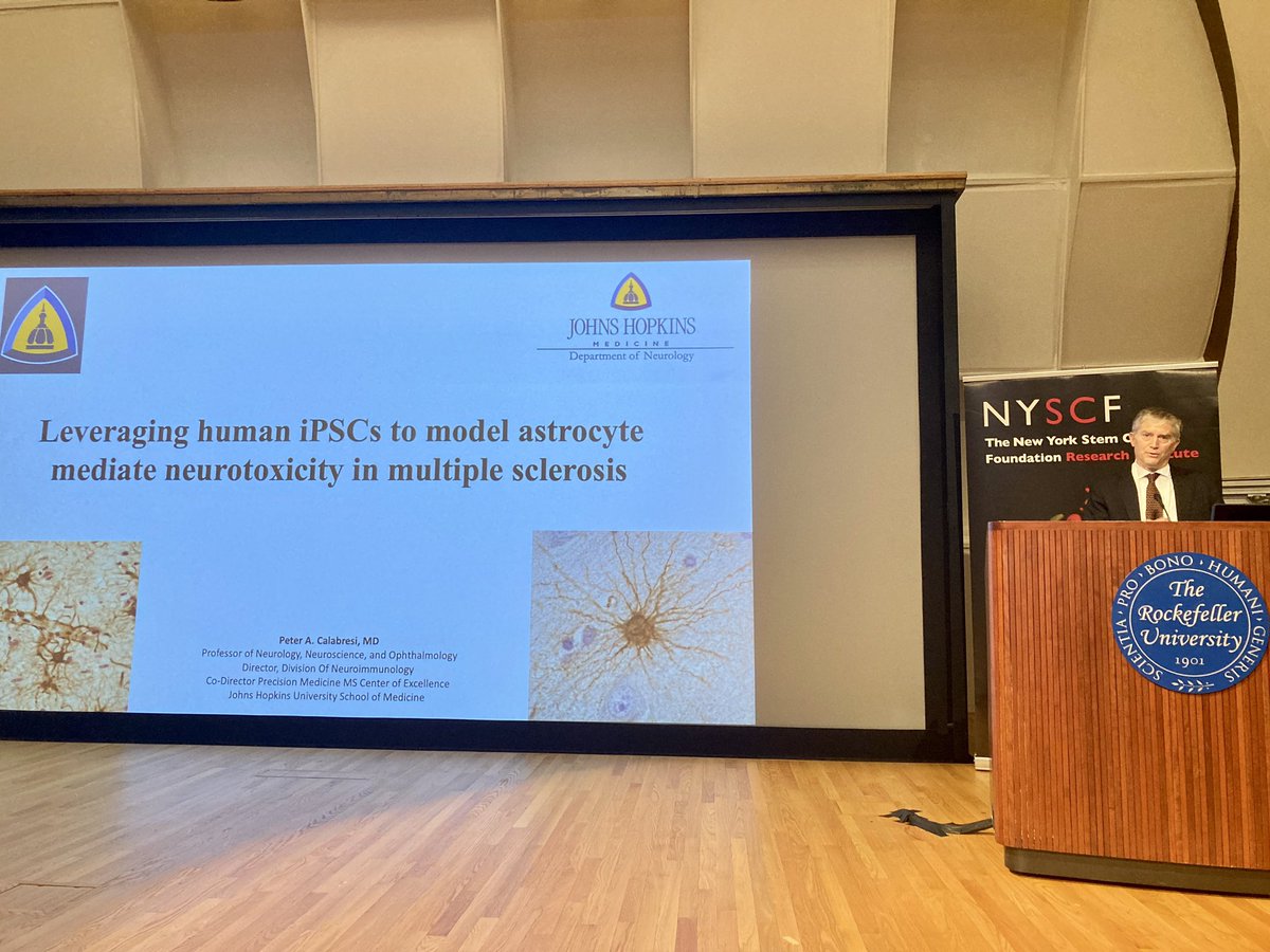 Peter Calabresi @Calabre04804429 of @HopkinsMedicine sharing his latest on leveraging iPSCs to model glia and neurotoxicity in multiple sclerosis – including work done in collaboration with our own Valentina Fossati @fossati_v #NYSCF2023