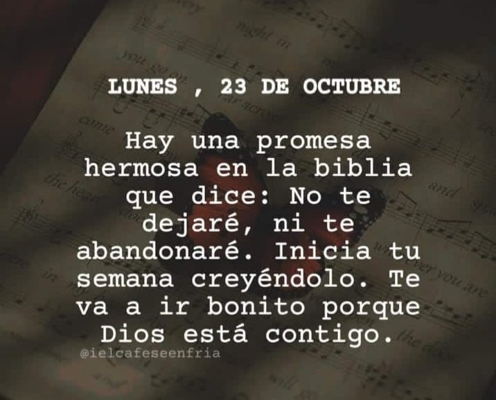 Días,  Buenos ☀️🌞estimad@s amig@s