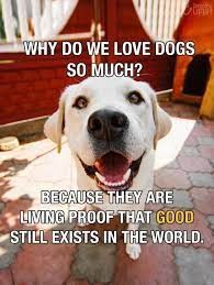 Why do we #love #dogs so much? Because they are living proof that #good still exists in the world. #Dogs #GoodStillExists #BestFriend #GoodDog #DogsAreLove