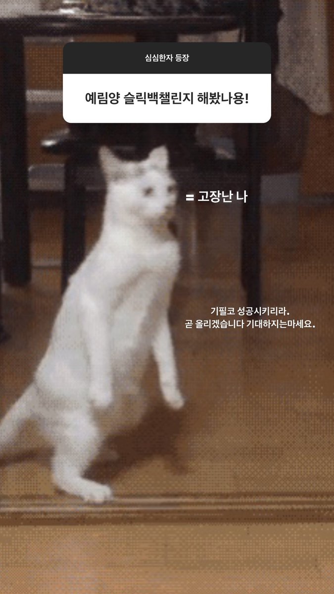 ParkYerimTH's tweet image. Q: คุณเยริมเคยเล่น #Slickbackchallenge ไหม!
A: =พังแน่ จะต้องทำให้สำเร็จ จะอัพโหลดเร็วๆนี้นะคะ ตั้งตารอกันได้เลย. 

#ParkYerim #Yerim #박예림 #예림