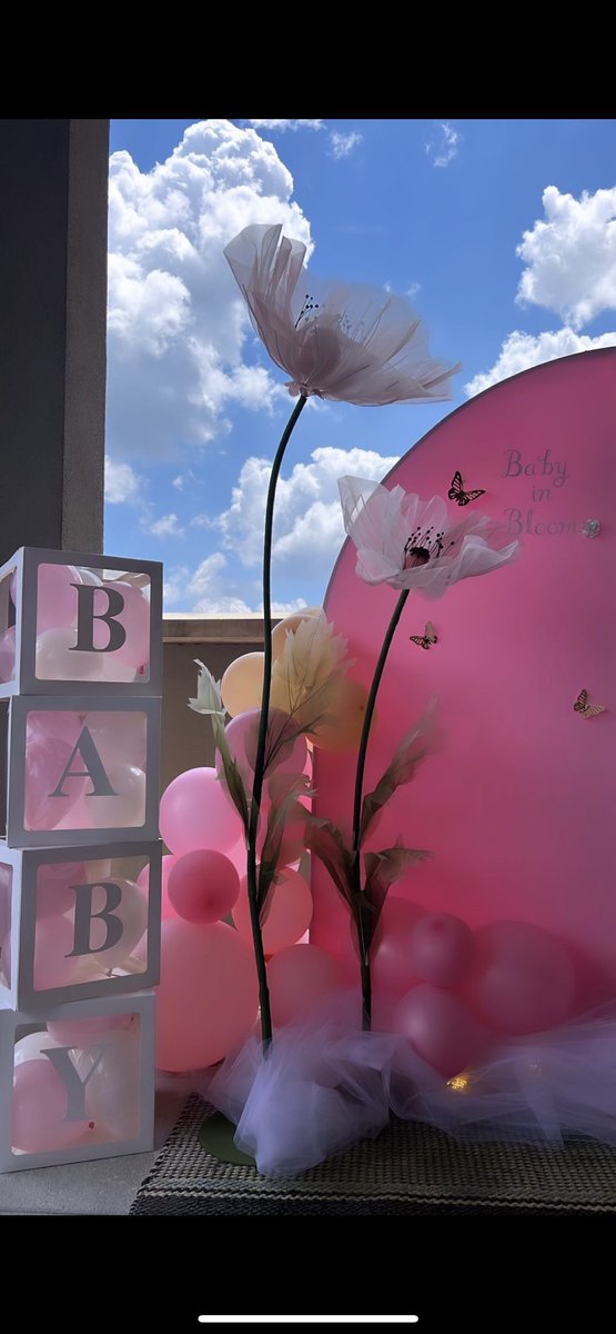 🌸Baby In Bloom🩷 for Kaitlin and Greg’s baby shower! Let’s us come decorate your next special moment!