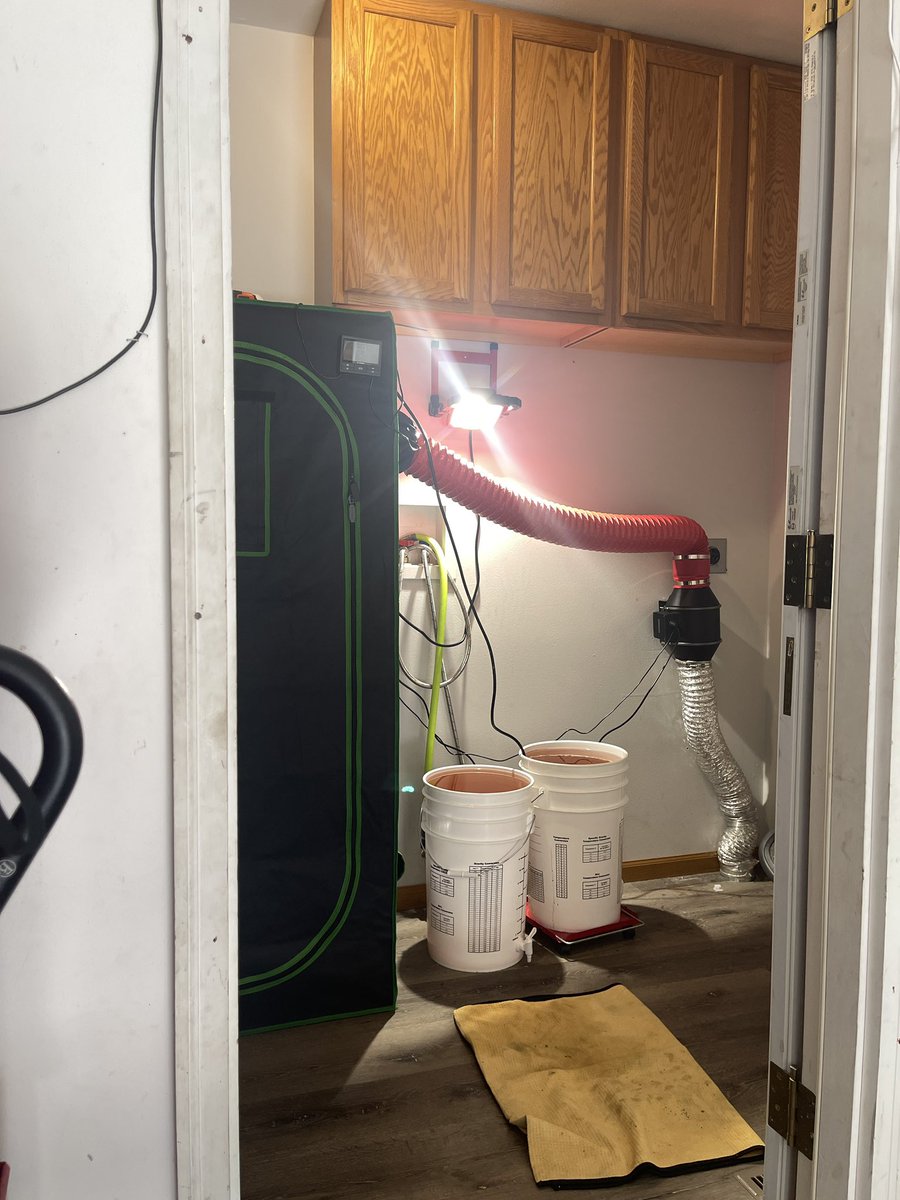harley_vlogger's tweet photo. Clean clothes is so over rated, who needs a washer and dryer? I converted my Waterhole to a grow/Dry Room. Going to put another tent in here behind the door, and add a portable air conditioner. Whatcha think?
#grow2flower #dryroom https://t.co/nuju4592A7