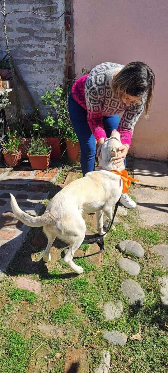 elcampito's tweet photo. Y así se ve el comienzo de un amor para toda la vida. 🤩
Una vez que ellos entienden que vos sos su familia,  aman sin condiciones, con toda la pureza.
¡¡Qué seas inmensamente feliz, bonita!! 🥰

¡¡¡ZAFIRA ADOPTAAADAAA!!! 🥳🎉
👇 https://t.co/x3R3UxTVA9
