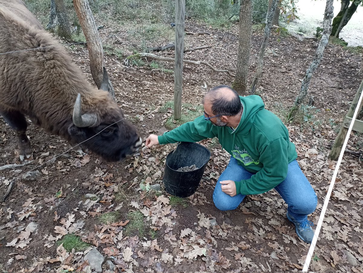 Invitamos a <a href="/laventana/">La Ventana</a> <a href="/IsaiasLafuente/">Isaías Lafuente Zorrilla</a> 
realizar el programa en la reserva <a href="/BisonteEuropeo/">Reserva del Bisonte</a> San Cebrian de Muda, montaña Palentina.
Oficina internacional <a href="/CommitteeWorld/">international committee world biological corridor</a> creando un corredor biológico mundial que unirá el planeta
En la mina de municipio un banco mundial de semillas