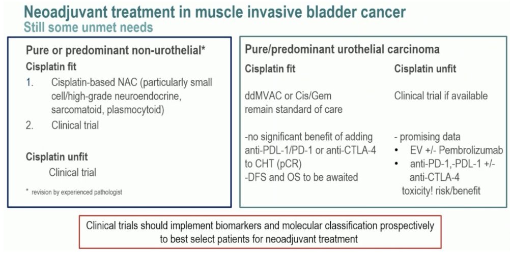 urotoday's tweet photo. #InvitedDiscussant β ABACUS-2, NEMIO, EV-103 (Cohort-L). Presentation by @UrsulaVogl @EnteOspedaliero. #ESMO23 written coverage by @RKSayyid @UofT > https://t.co/y5IgbbL007 @myESMO https://t.co/WP0AykO3Vl