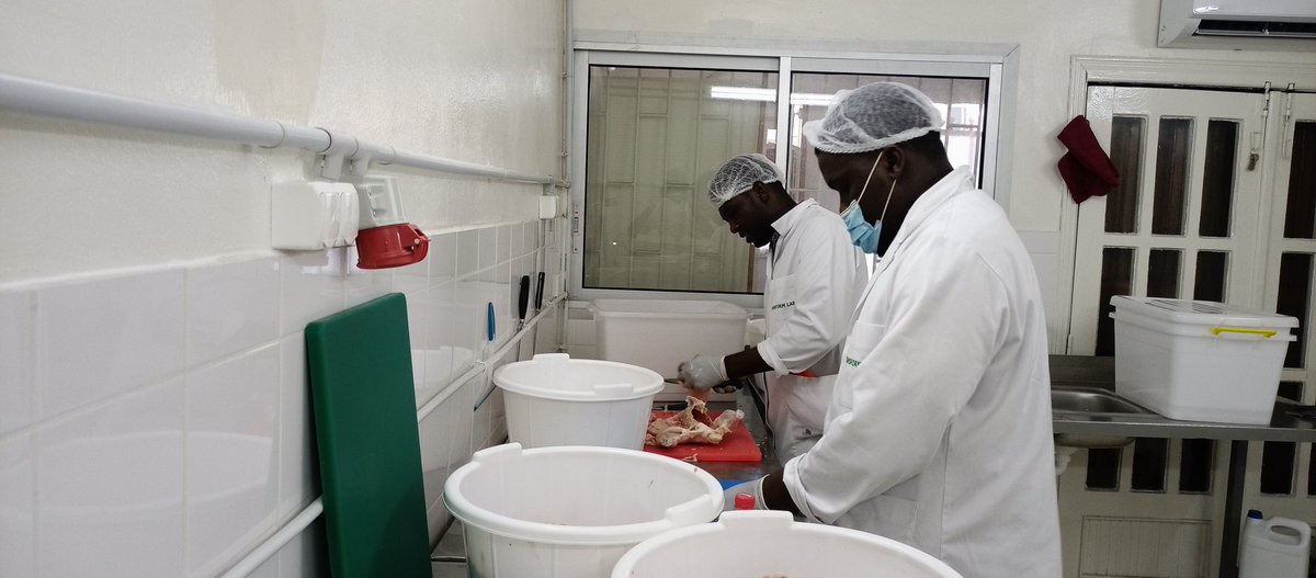 MyKokoChick's tweet photo. Thanks to the support of WIDU Africa, we have been able to scale our #Business in #Cameroon.
12 months later:
> More than x2 in revenues ;
> 8 female full-time jobs created ;
> Raised more investments ;
> Established a new production unit ; https://t.co/tLh65SnxT2