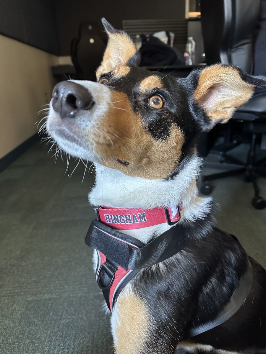 SSRECC 9-1-1 tweet media