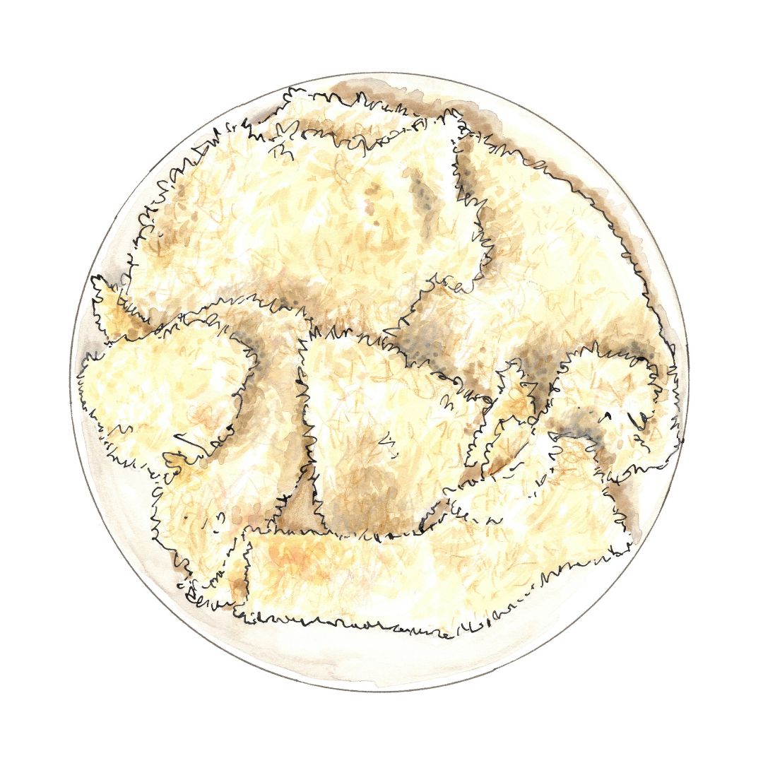 Blasta Books tweet media