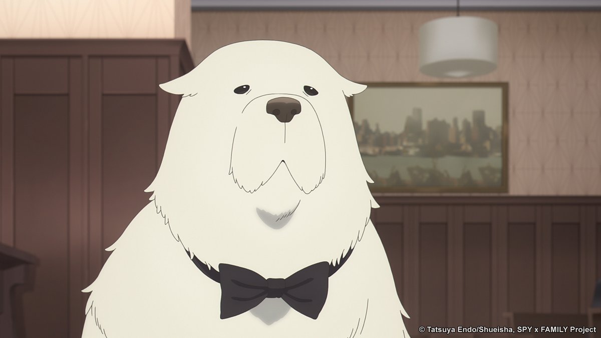 Crunchyroll's tweet photo. 1 RT = 1 pat for Bond 🐾💚 (via @spyfamily_en) https://t.co/KEFLTqHudN
