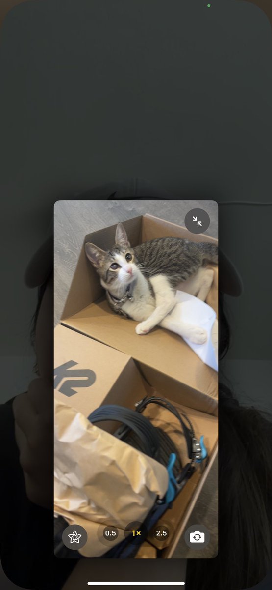 Kanal__'s tweet photo. My personal inspector. New bindings are great :) https://t.co/LNscy3gaFb