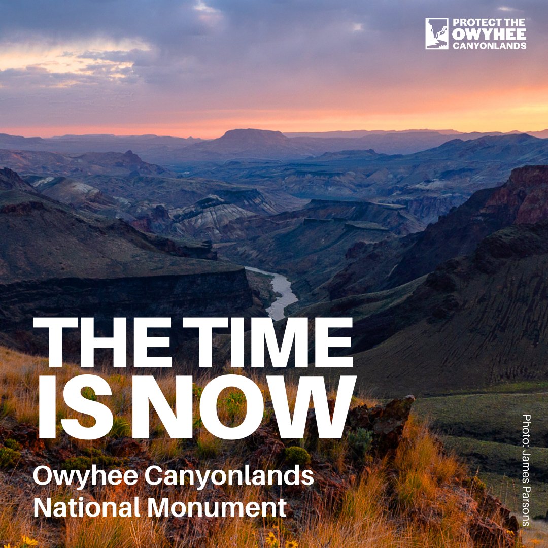Advocates are in Washington, D.C. this week to call on Oregon Senators @ronwyden & @senjeffmerkely and @potus to #ProtectTheOwyhee. Add your name to help demonstrate strong public support ➡️ protecttheowyhee.org/#takeaction