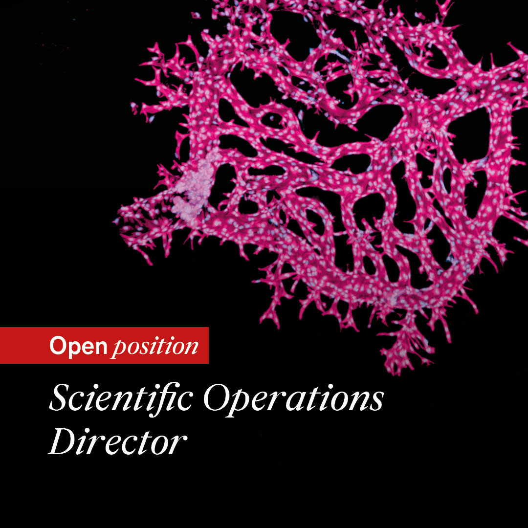 Exciting opportunity to become #TeamIHB's Scientific Operations Director! Help us drive IHB’s positioning in the scientific community and ensure the operational efficiency of the institute and its integration within the Roche ecosystem. Pls RT & details at bit.ly/ihbopsdir