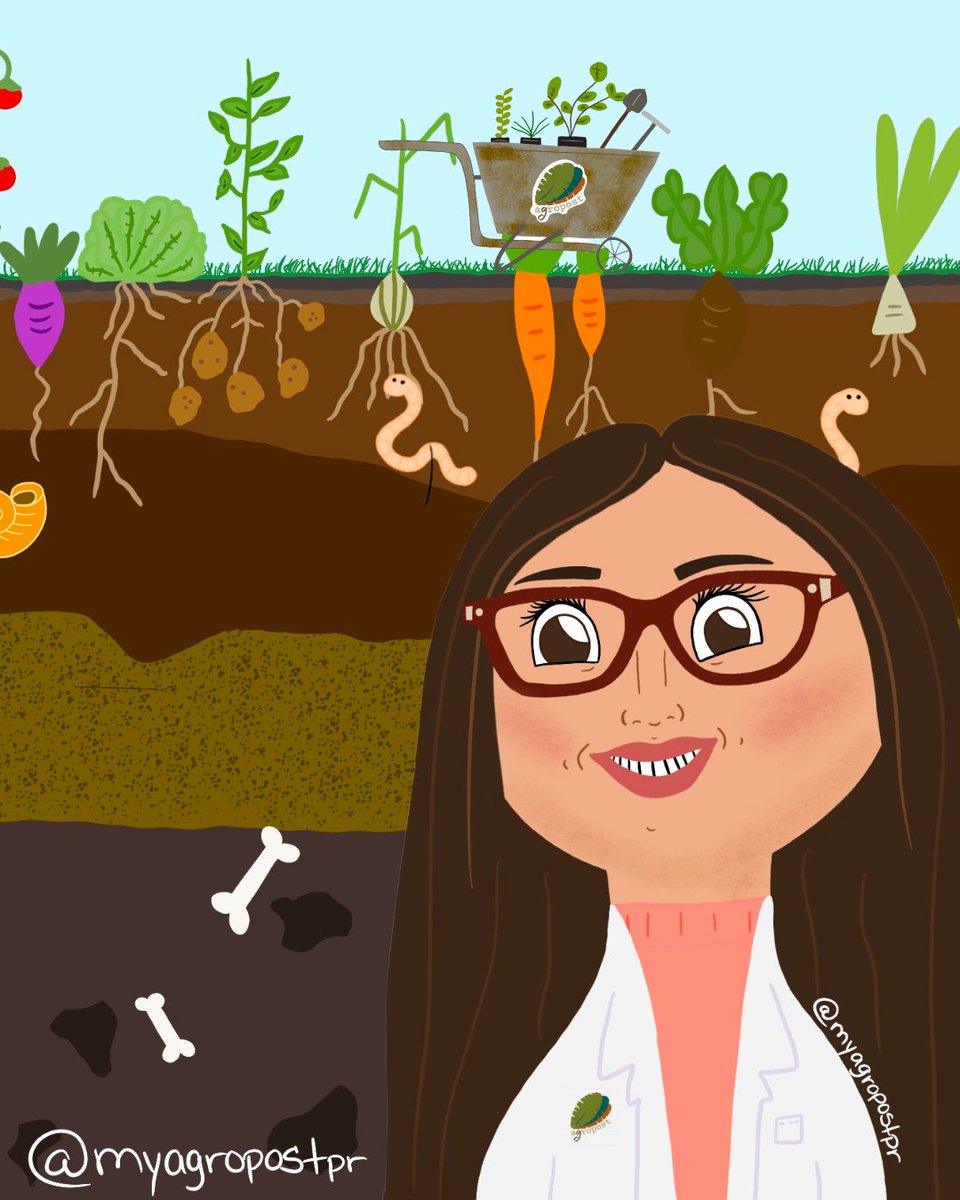 🤎 | Soil Science Ladies (@soilsciencelady) on Twitter photo Anyone else attending the 2023 SSSA Conference? 😊 Anyone else attending the 2023 SSSA Conference? 😊