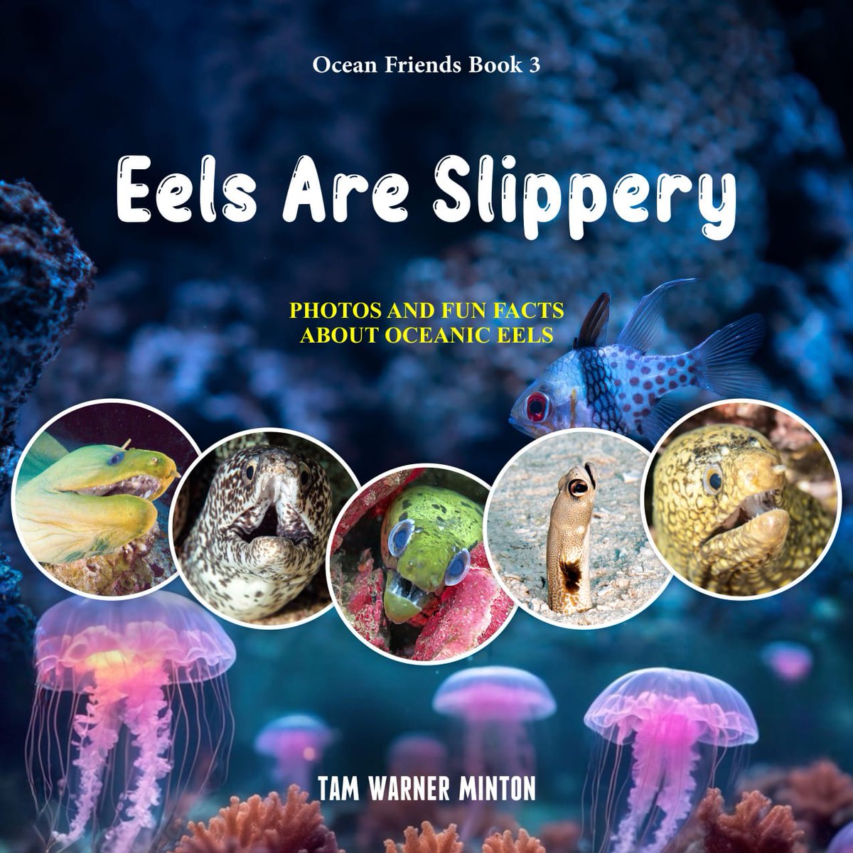 TamWMinton's tweet photo. Introducing the cutest, slipperiest new children's book around - 🐟EELS ARE SLIPPERY 🐟 Book 3 of Ocean Friends! Perfect for inspiring a love of aquatic animals! 🌊 Get your paperback or ebook today on Amazon!! 
#NewKidsBooks #newnonfiction #bookbuzz #childrensnonfiction https://t.co/gCou77jQc4