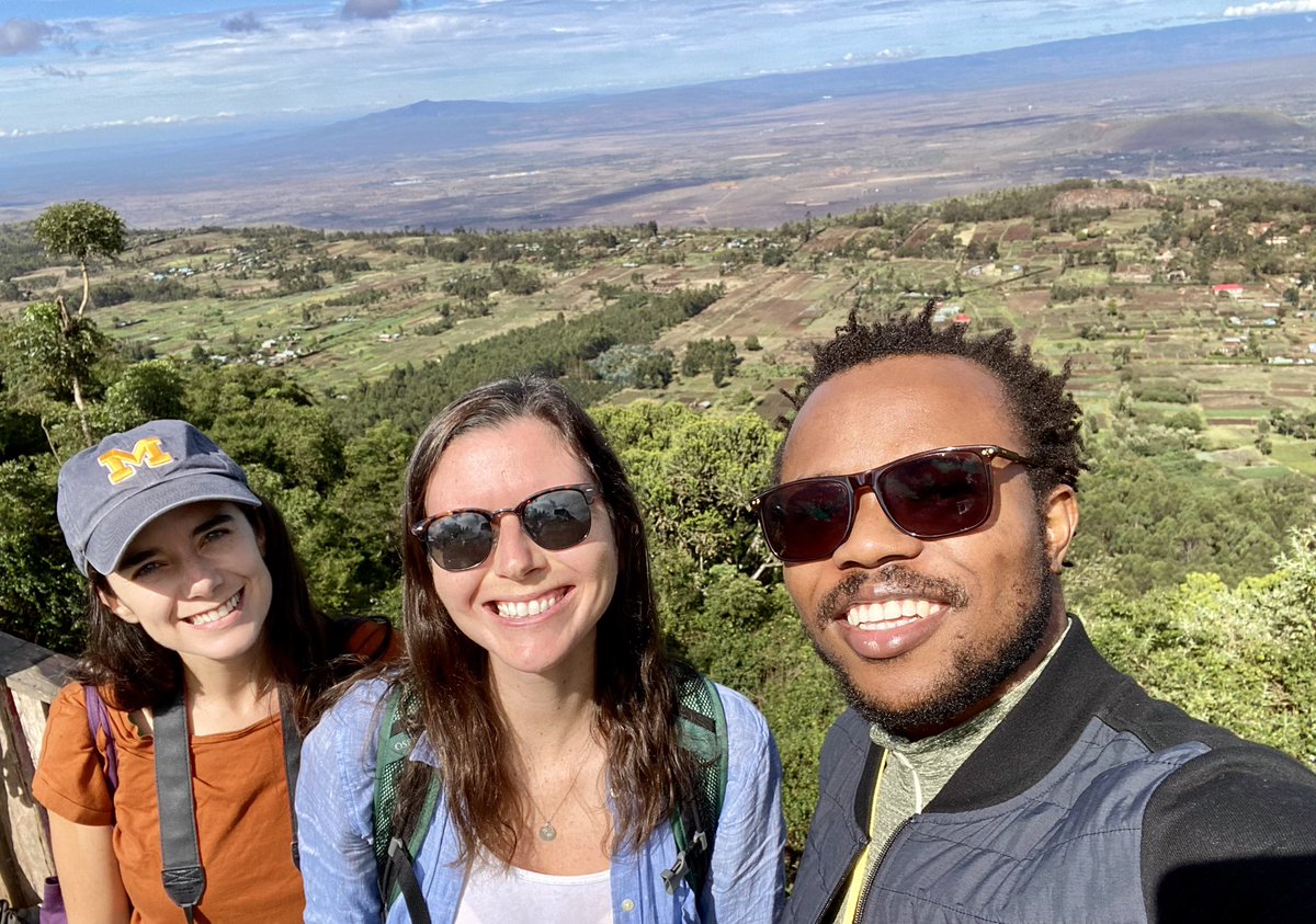 Sunderland Lab tweet media