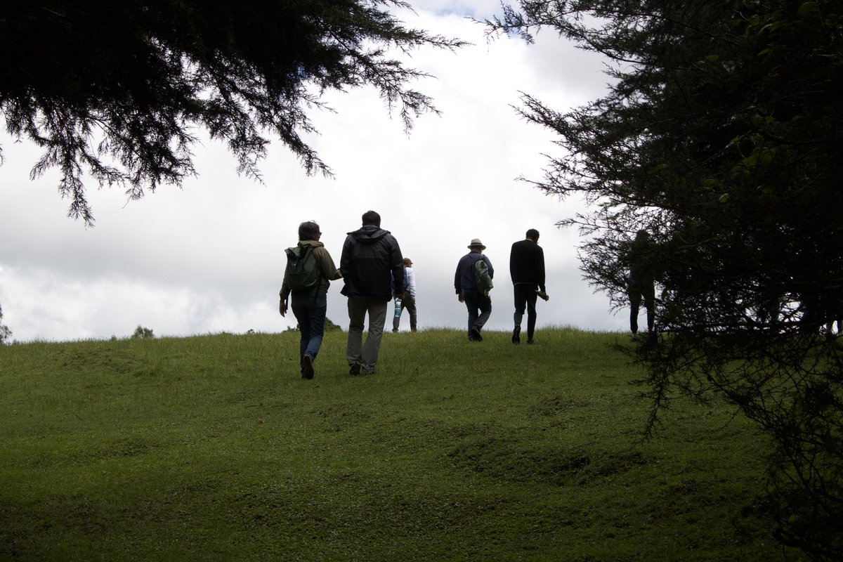 Sunderland Lab tweet media