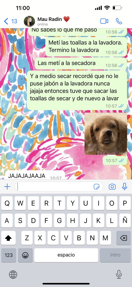 Ele 🦦 tweet media