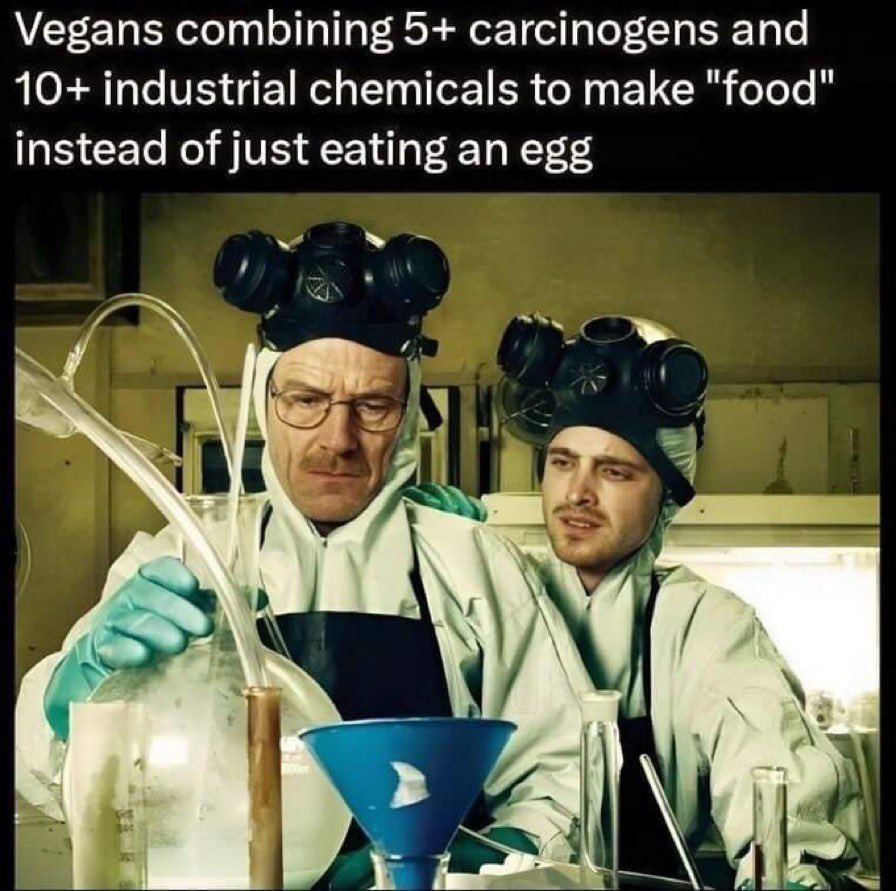 Farm fresh eggs are the ultimate super food