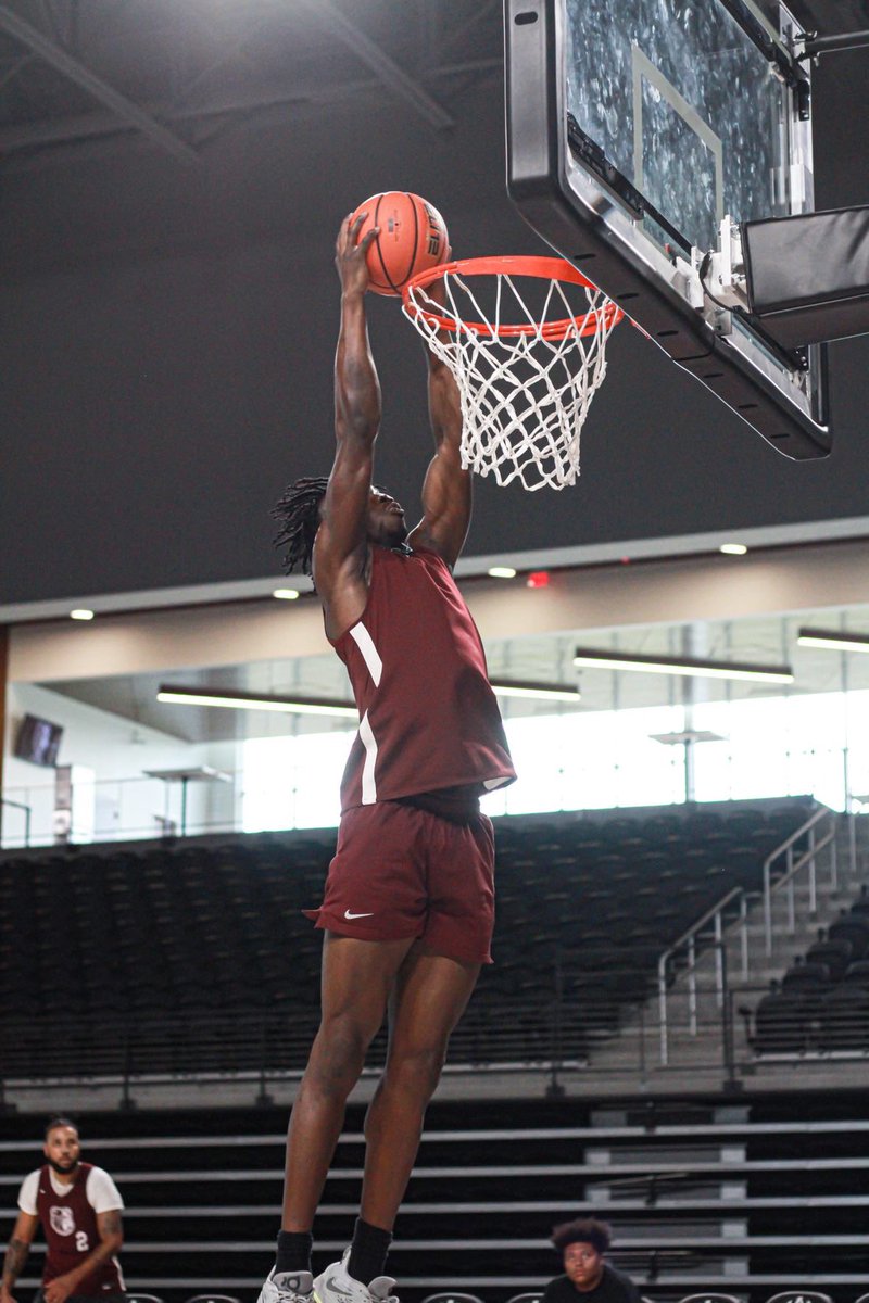 Ademo1aOladipo's tweet image. In the Lab 🧪🐶🏀