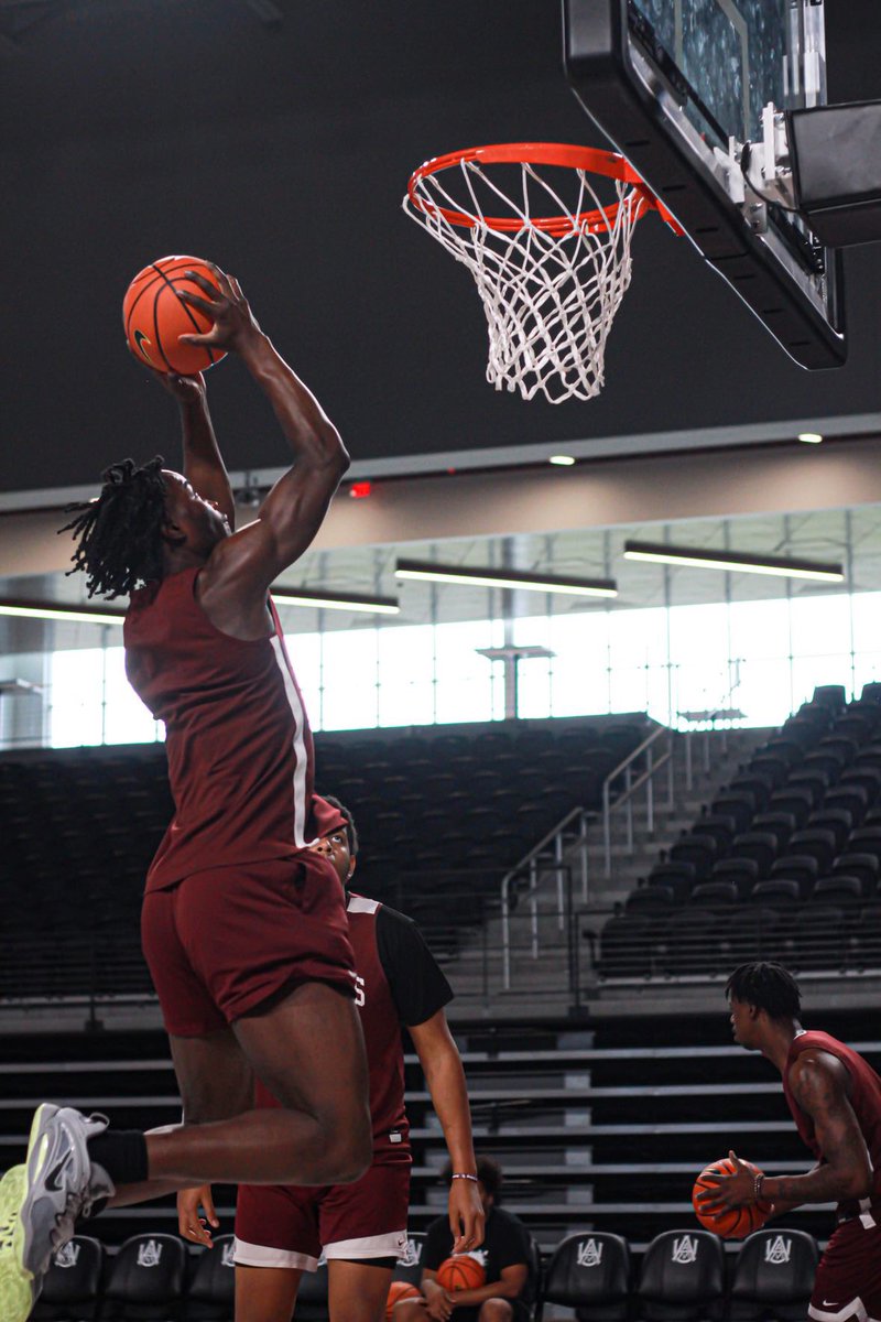 Ademo1aOladipo's tweet image. In the Lab 🧪🐶🏀