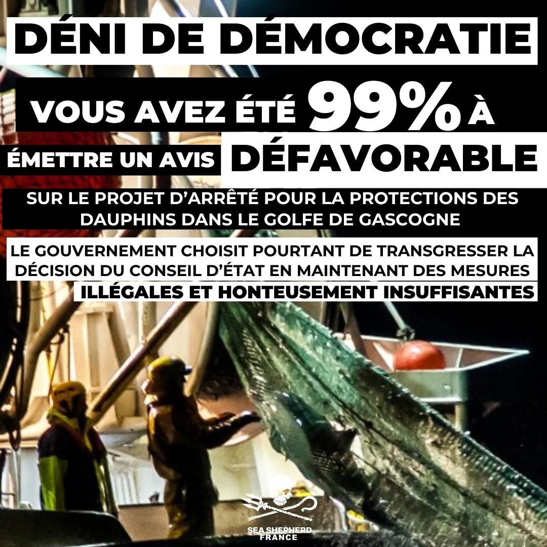 L'État s'entête à refuser d'appliquer les recommandations des scientifiques pour protéger les dauphins des captures dans les engins de pêche et cela, malgré la décision très claire du Conseil d'État. Une consultation publique dont le résultat est pourtant sans appel, n'a eu aucun