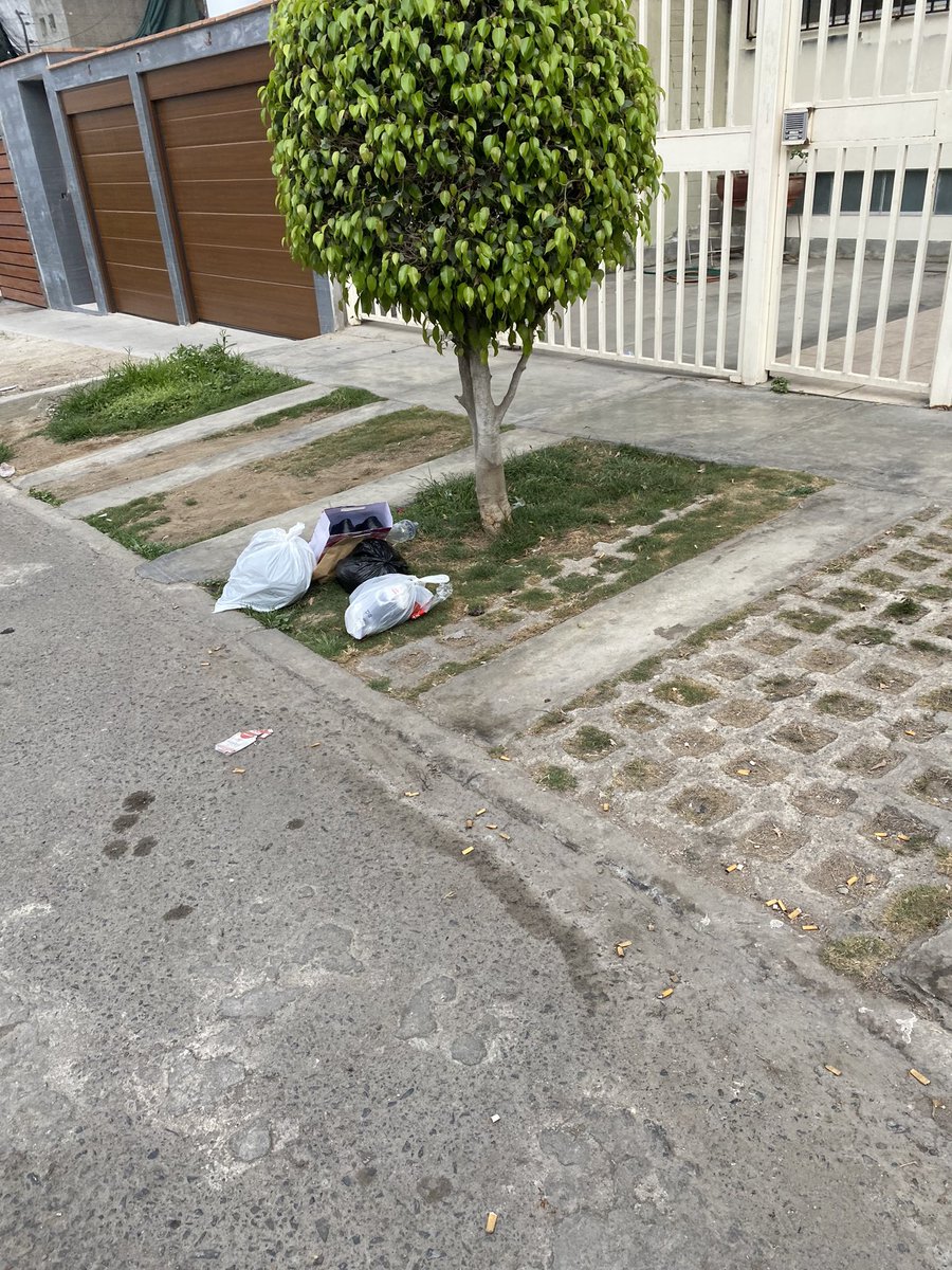 kiara cabrera schmidt tweet media