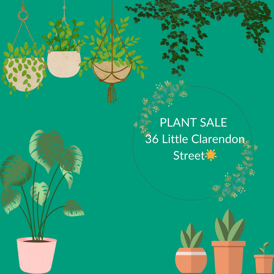 OxfordHub's tweet photo. Donate to the Hub and get a plant! 🪴

Visit  36 Little Clarendon Street to donate to the Hub and receive a plant in return.
Donations can be any amount and can be made either in cash or online.
All proceeds will go back into the local community 🌟
Mon 1:30-4:30
Tues 10-4 https://t.co/K367unHRtJ