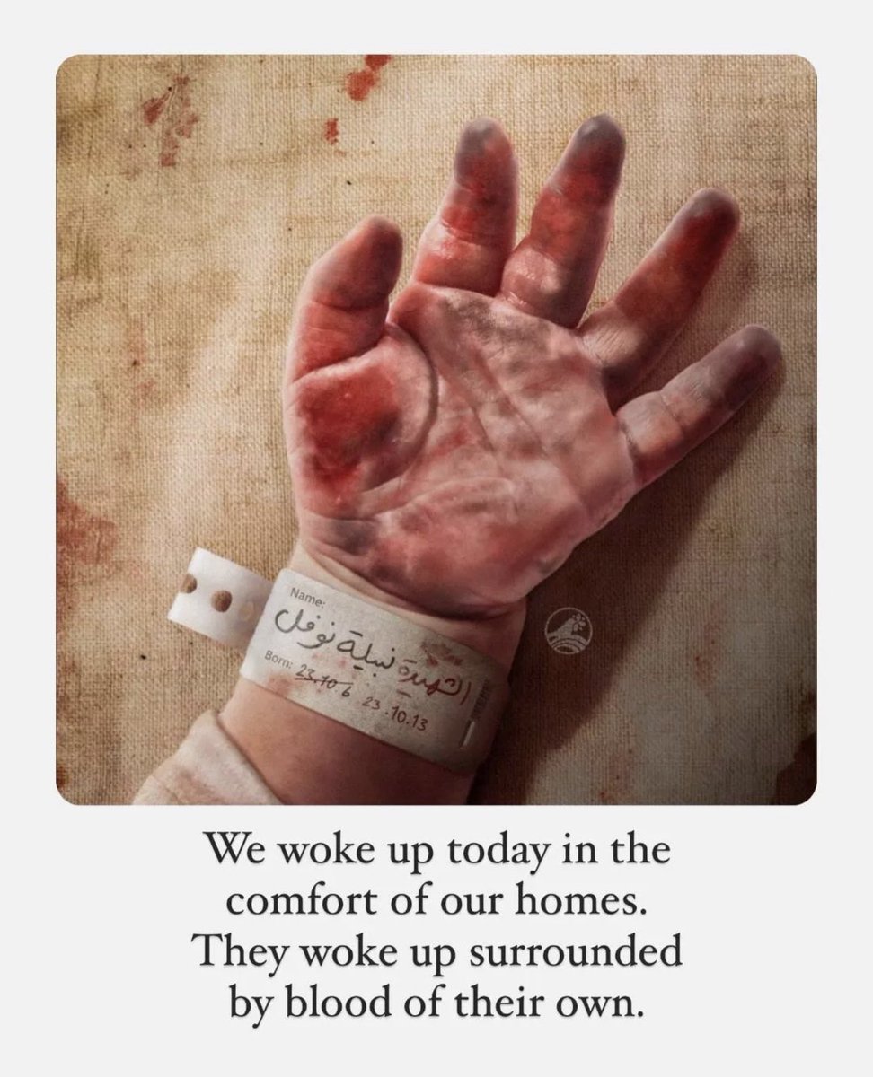 _faraharif's tweet photo. And your Lord never forgets.

#Palestine #IsraelAttack #Gaza #ArmiesToAqsa #PalestineWar #PalestinianGenocide #Hezbollah #Gazabombing #GazaGenocides #Gaza_Genocide #HamasISIS #IStandWithPalastine #Pakistan #IsraelPalestineWar #Islamabad https://t.co/TEKMdb0spC