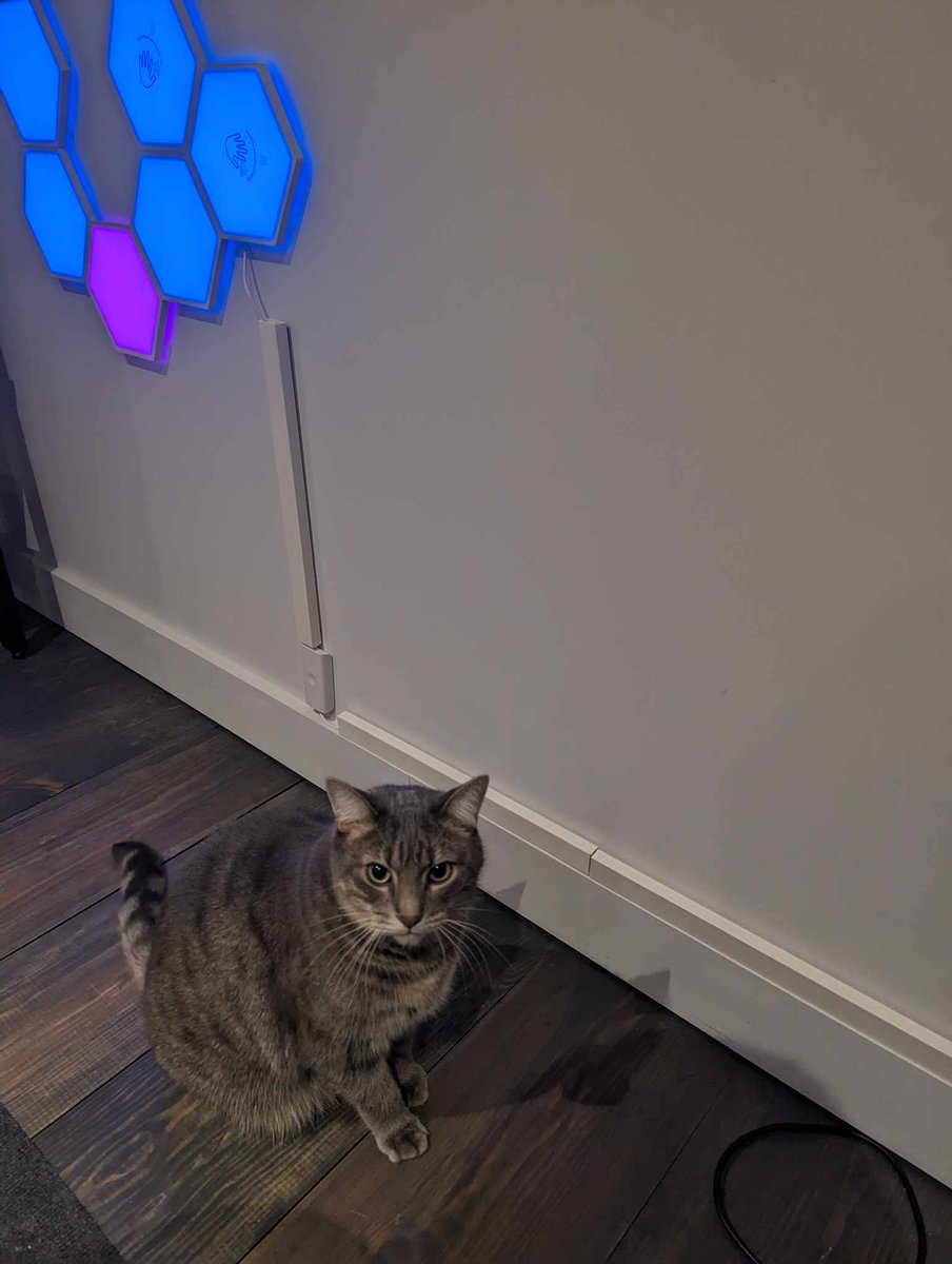 This (cat) is why we can't have nice things 😼#ProtectTheCables