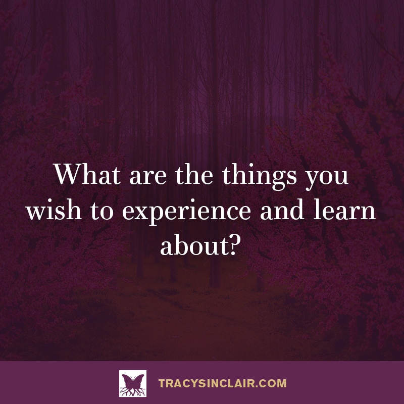 tracythecoach's tweet image. What are the things you wish to experience and learn about?

#aspirationtoreality #motivationmonday #powerfulquestions #coachingquestions #adventure #future #reflection