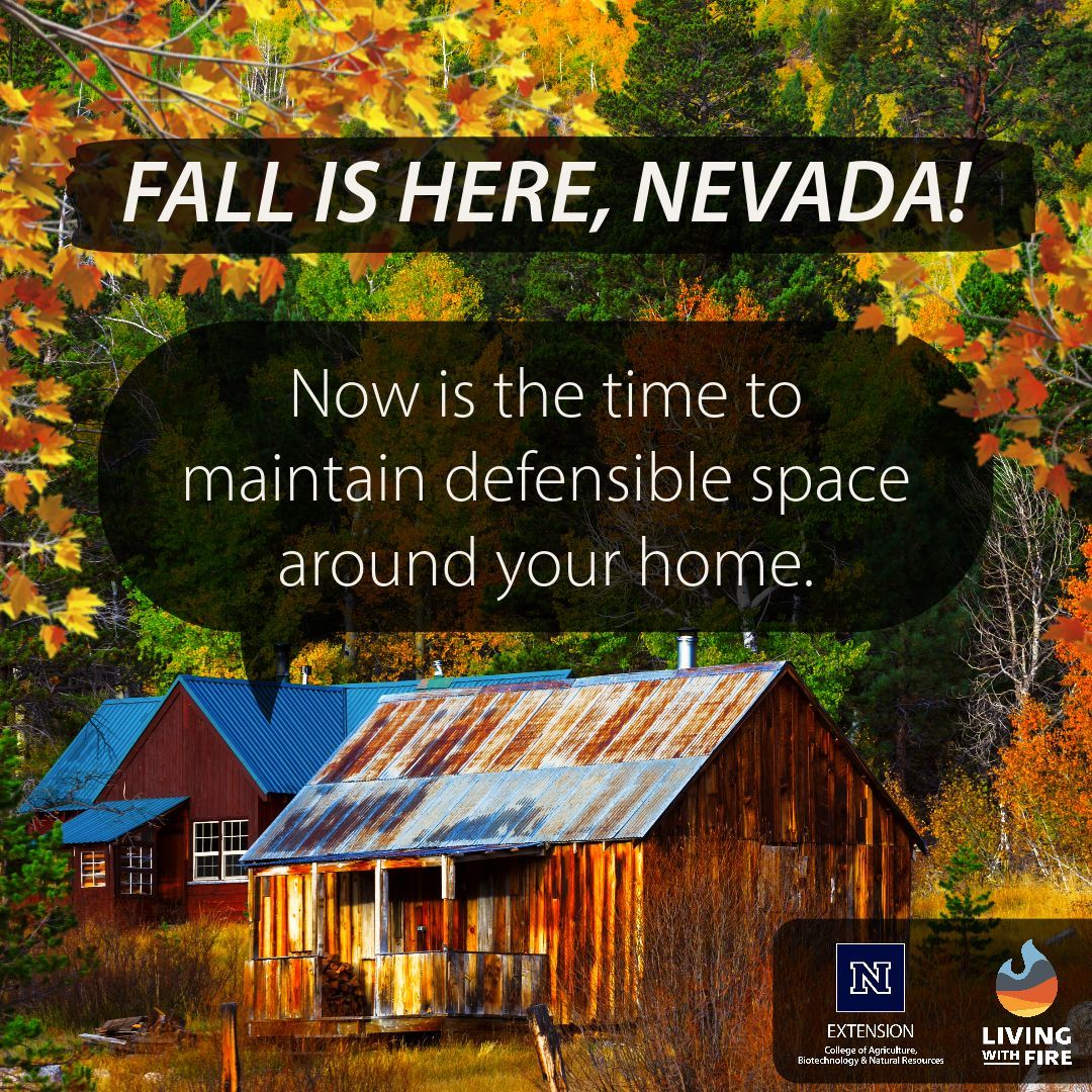 NevadaLWF's tweet image. 🍂🔥Fall is here, Nevada!🍂🔥

Protect your home from wildfires by creating a defensible space! For a FREE Defensible Space inspection, contact your local fire agency.🏡🌿

Learn more at LWF: buff.ly/42EIsya 

Let&apos;s make Nevada safer! 🍁 
#DefensibleSpace #LivingWithFire
