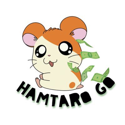 Hamtaro GO | mt after dm. tweet media