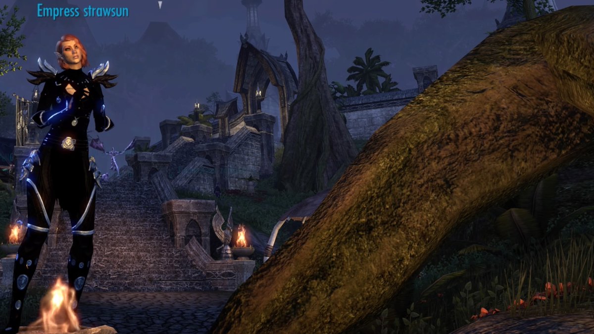 strawsvn's tweet photo. #PS5Share, #TheElderScrollsOnline https://t.co/ZPQT9qIO5D