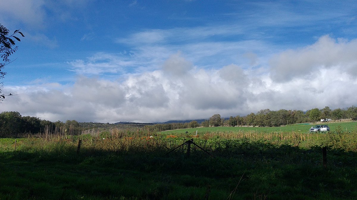 Así la huerta. La borrasca/huracán llegó en paz hasta aquí.