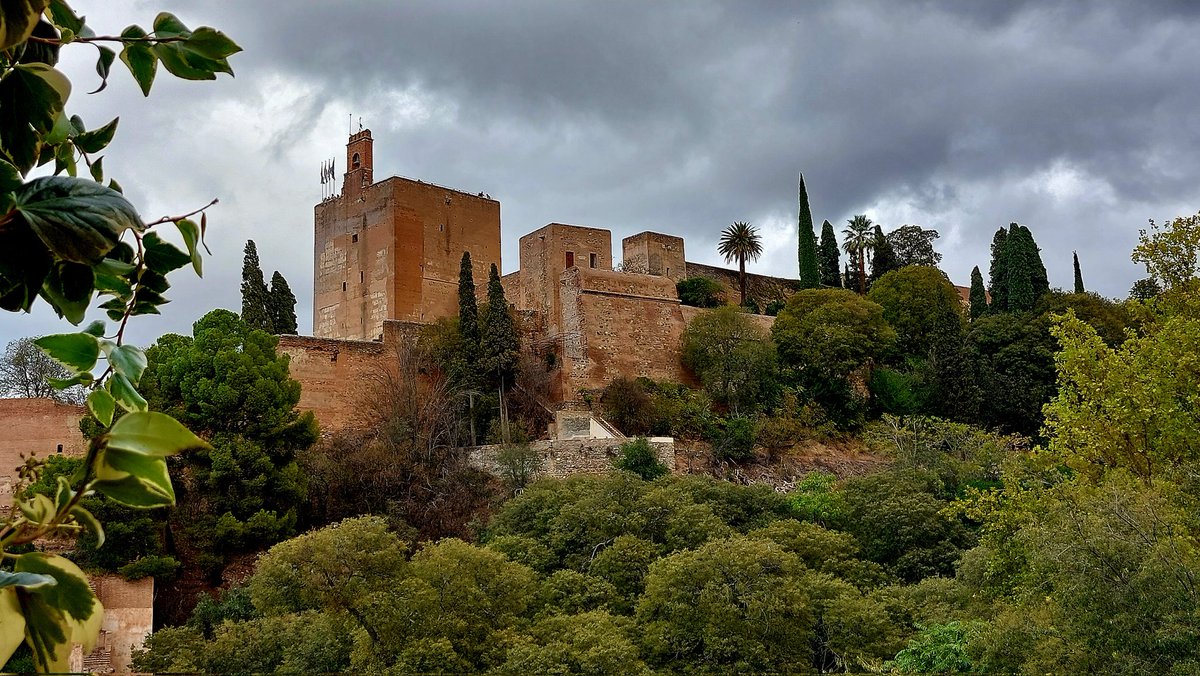 Fani dessinatrice tweet media