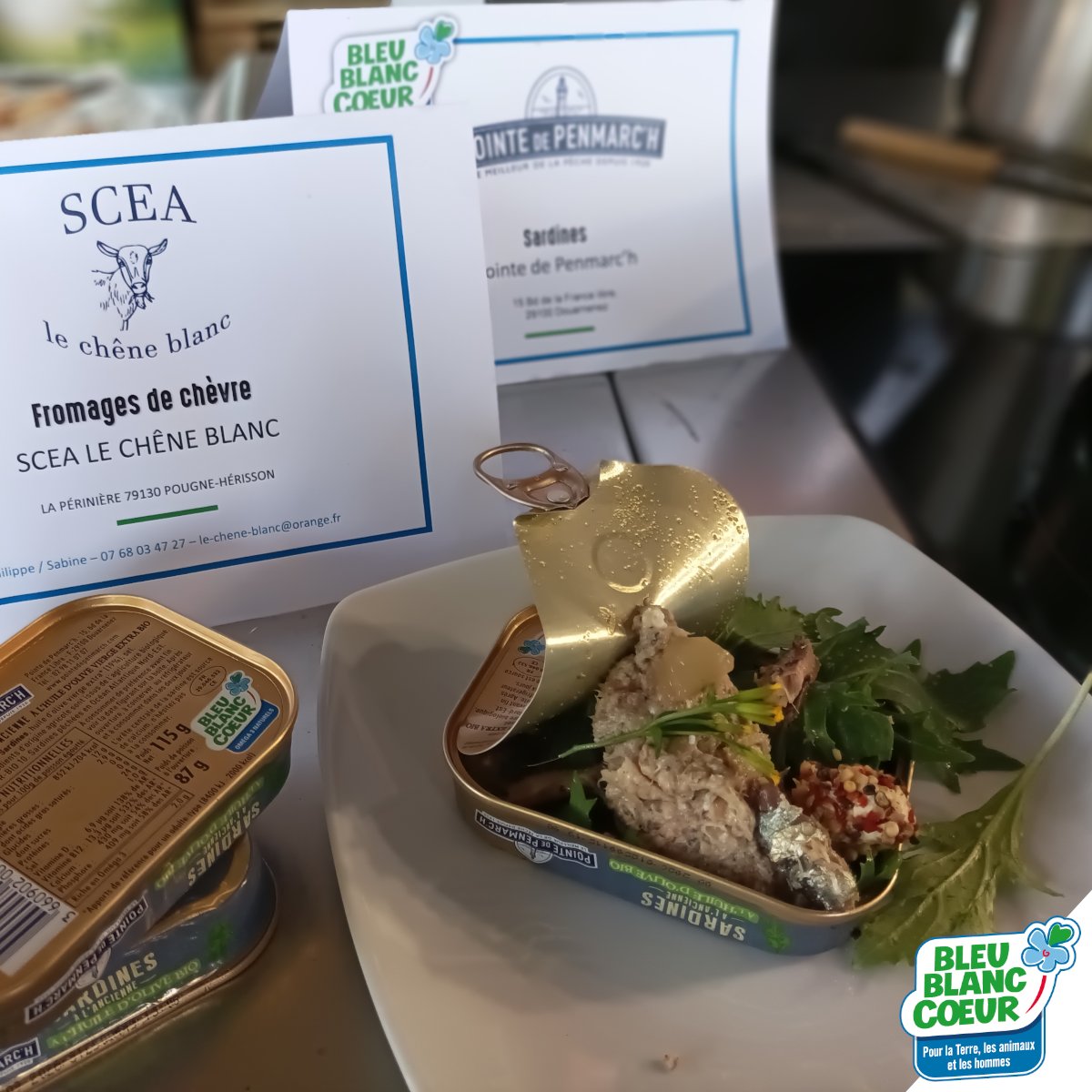 BleuBlancCoeur's tweet photo. [RECETTE] « Rilleboite de sardines au fromage lait cru de chèvre et gelée Sang du Dragon », proposée par le Chef Nicolas LESEUR avec les #sardines @pointe2penmarch et le fromage de chèvre de la ferme Le Chêne Blanc 😋 ! #BleuBlancCoeur
🔸 La recette : https://t.co/3ujZLWFKzn https://t.co/uvhypZBzga