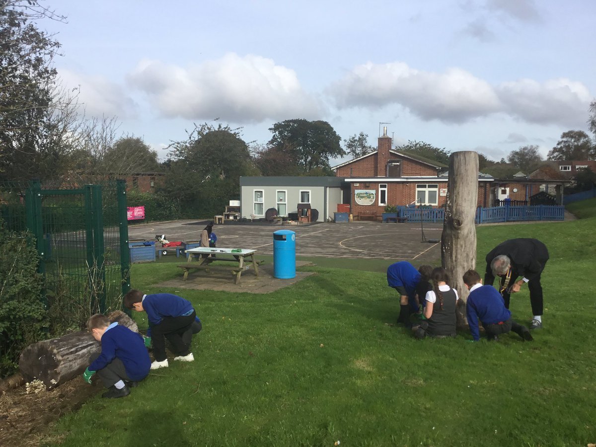 We are planting our crocus bulbs around the school grounds! @RotaryClubHullK 🪴🌹#EcoSchool #Purple4Polio