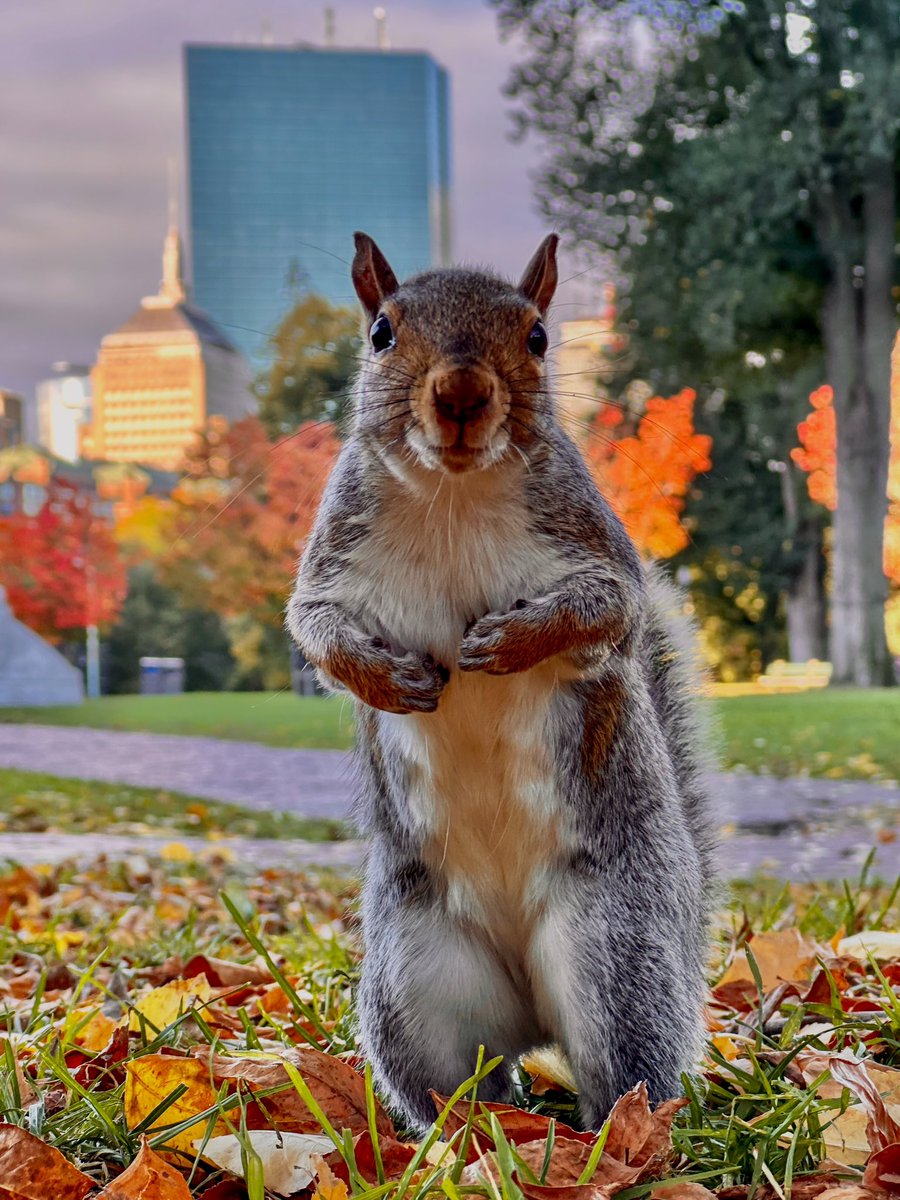 JackDarylPhotography tweet media