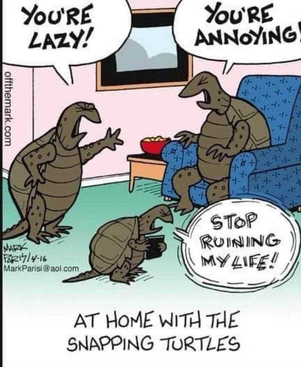 HandyNiki's tweet photo. #BOYT Turtle 🐢 😆 🤣 https://t.co/K8tsNhDAyd