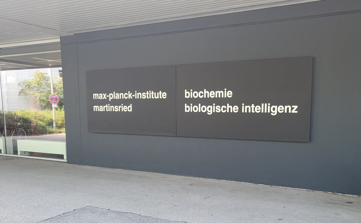 So grateful to have been at the Max Planck Institute of Biochemistry in the Mann's lab! A great and very inspiring visiting period to learn the most recent and advanced MS-based workflows!!