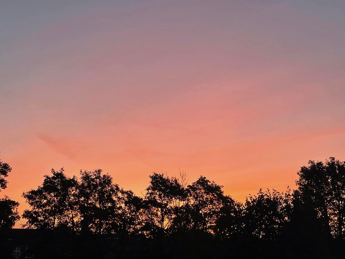 sargent1920's tweet photo. @WeatherAisling this morning in Writtle at 7.20am https://t.co/wJsW3fHB4s