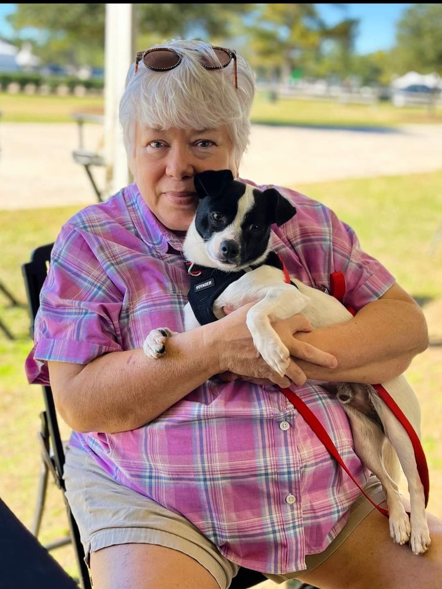 DannyRonsRescue's tweet photo. ADOPTED!  JIB is now part of the Marynell household!  Adopter Tonia has been waiting to bring another little dog into her life and Jib fits the bill perfectly! 

JIB came to Danny &amp; Ron's Rescue in July when we rescued 12 Chihuahuas from a hoarding situation. 
#AlifetimePromise https://t.co/91DpcNmNCk