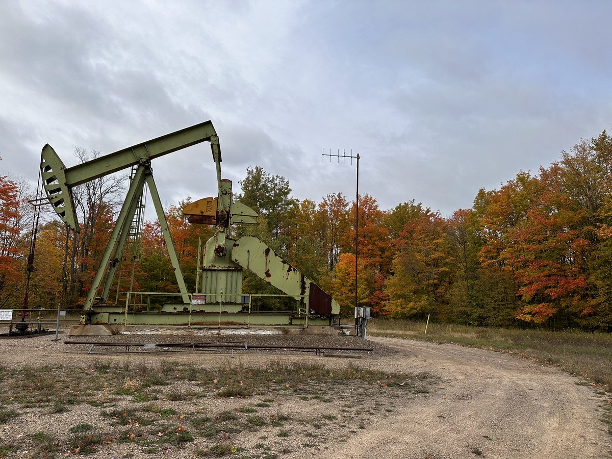 AudaciousFenix tweet media